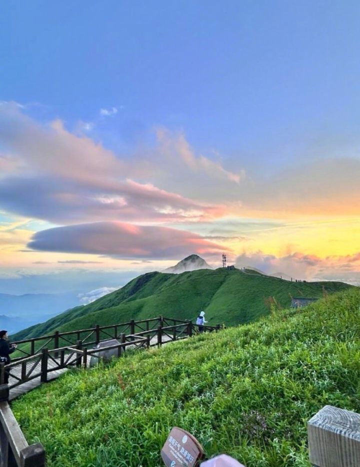 我想跟艾冻冻去武夷山,登天游峰俯瞰群山云海,吹着山林清风,品尝岩茶,沉浸式感受青山碧水的惬意截图