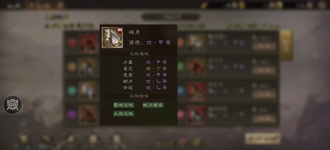 预测11月2日赛马前三名,0氪玩家必看 2