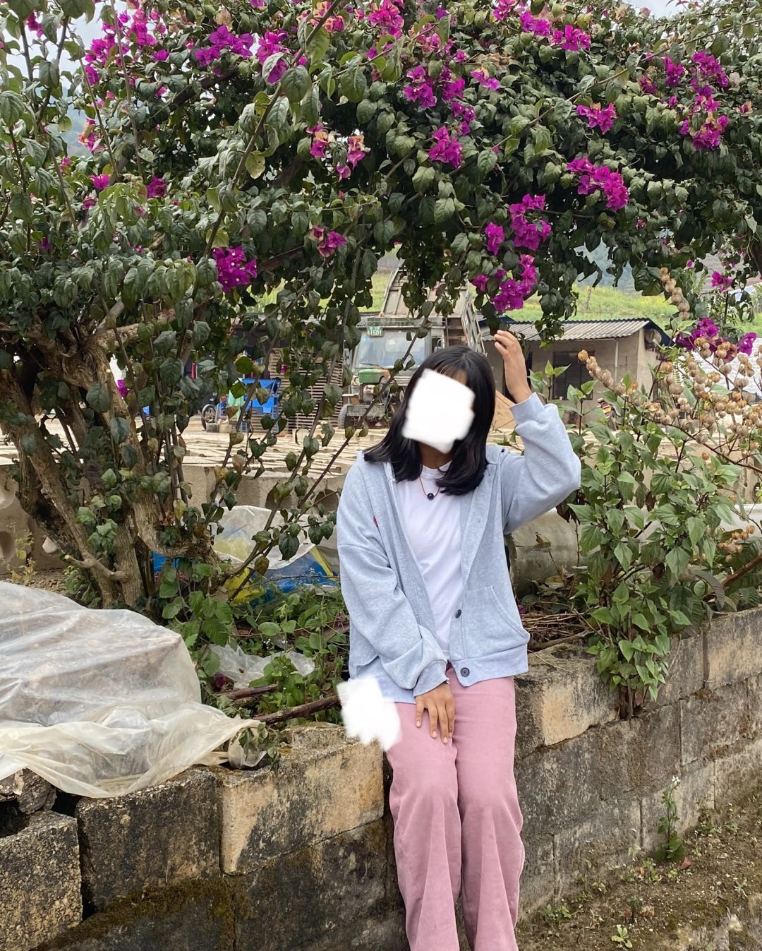动态图片 6