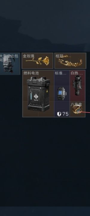 第一次在普坝出热成像觉得挺新奇的截图