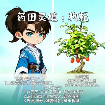 🌿 【药田の灵草图鉴】｜枸杞