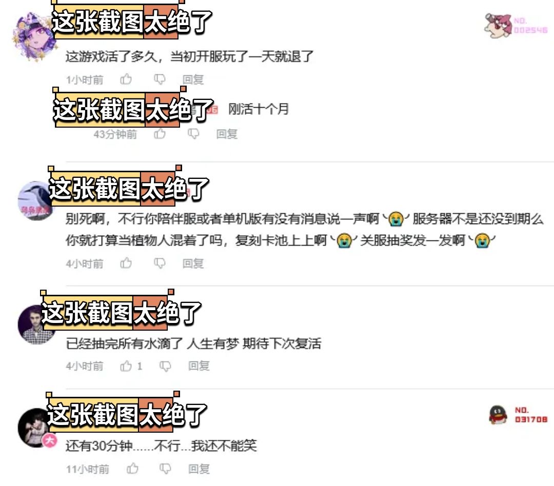 迟迟未见更新!银与绯玩家担忧 3