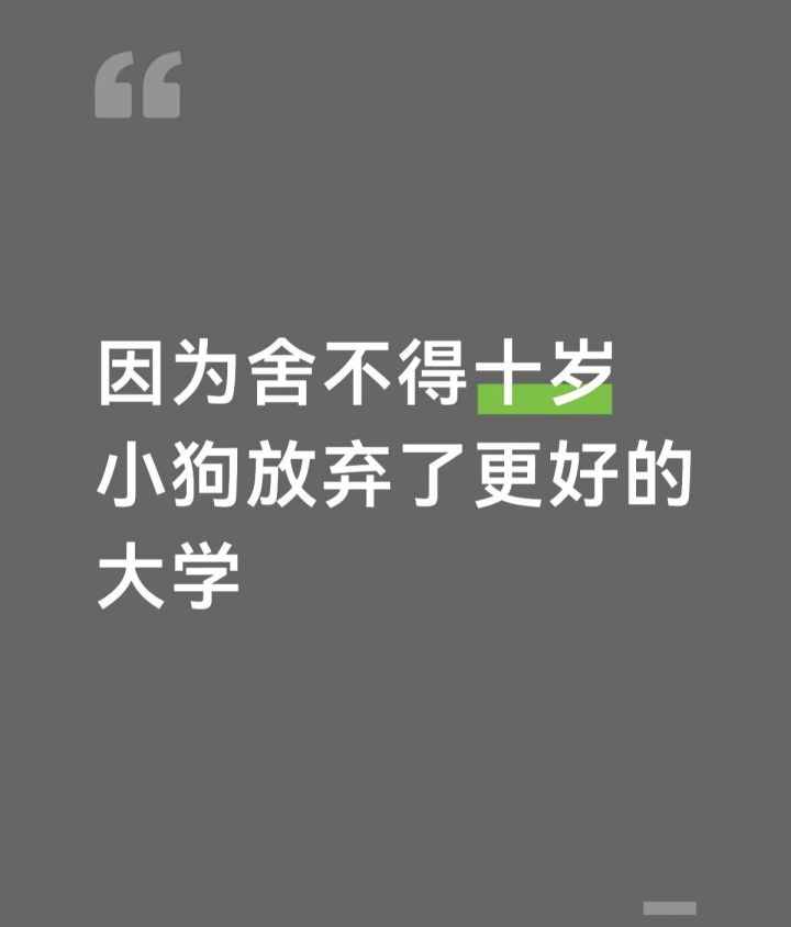 因为舍不得十岁小狗而放弃好大学,值得吗截图