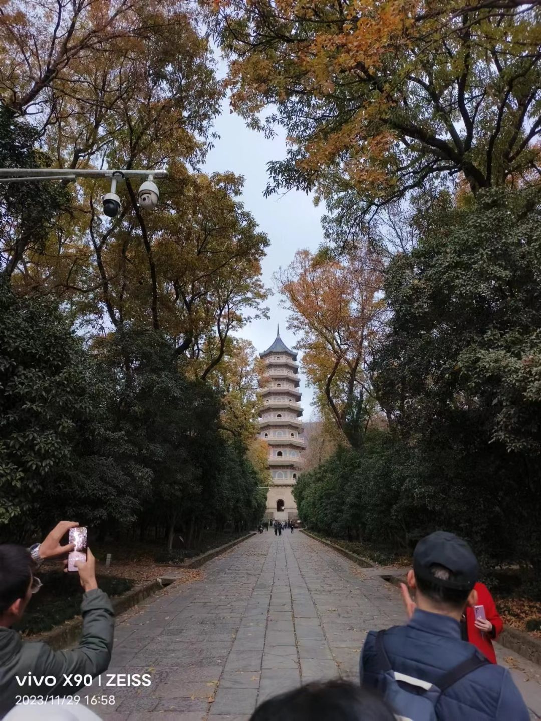 动态图片 6