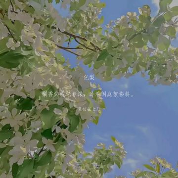 我想要要内测名额（跪）