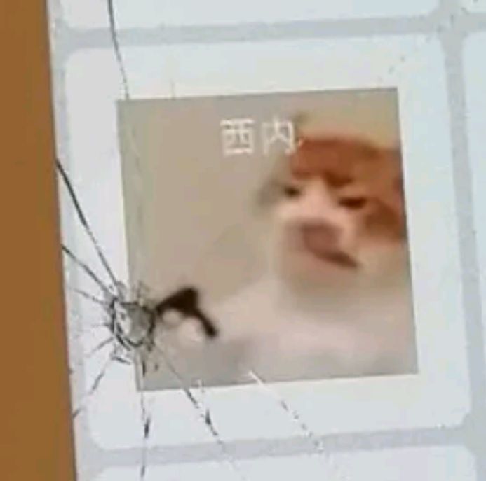 我的饭没了呜呜呜截图