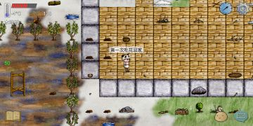 回家了，记录一下第一次买花