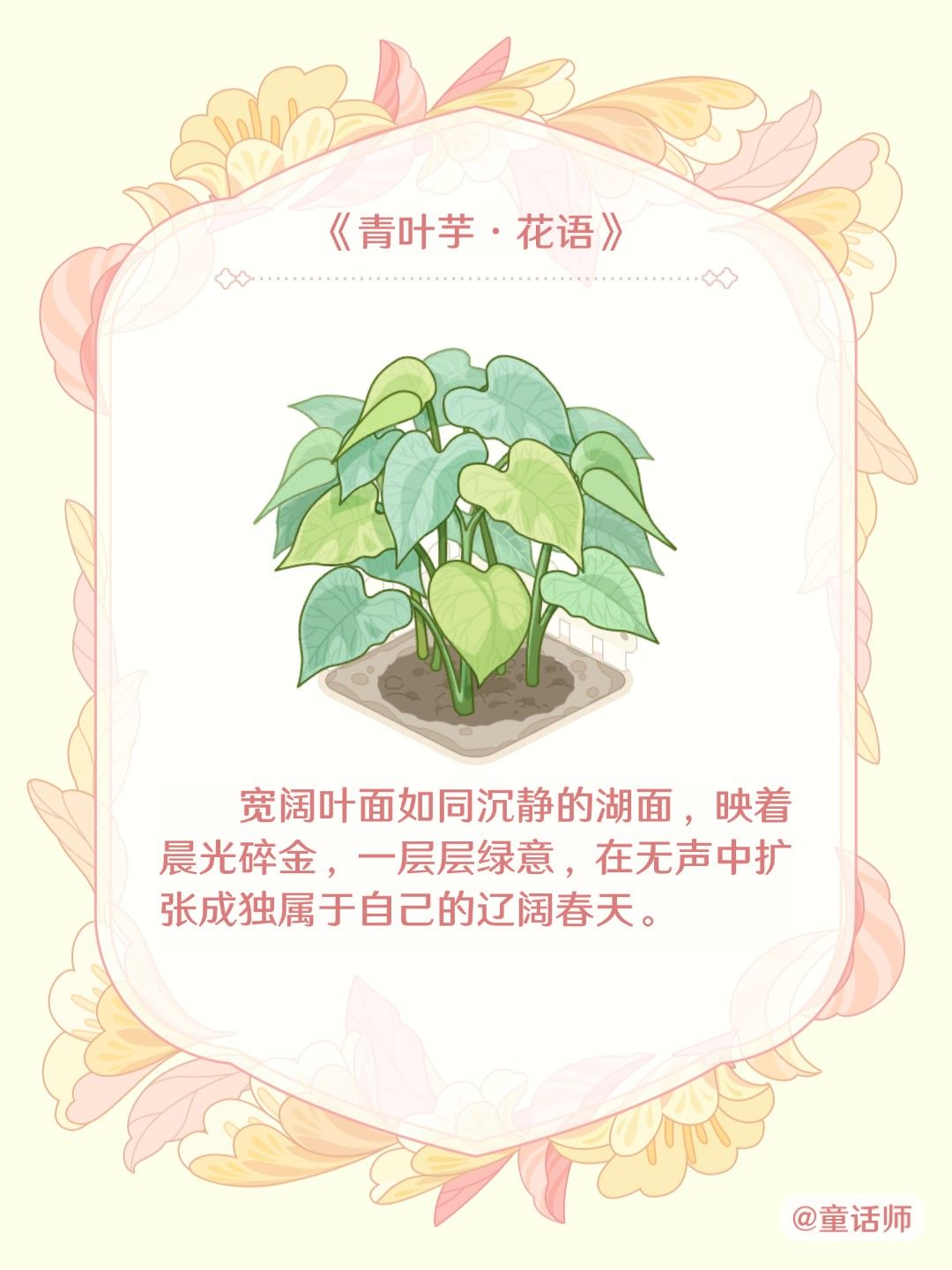 偷得浮生半日闲,邀你种花筑家园。 1