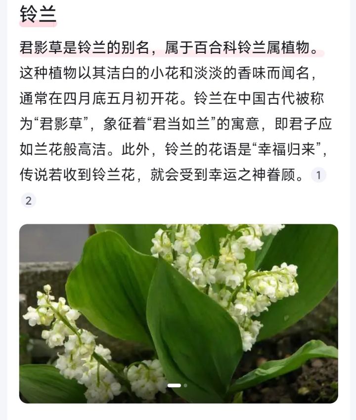 文化窃取咯截图