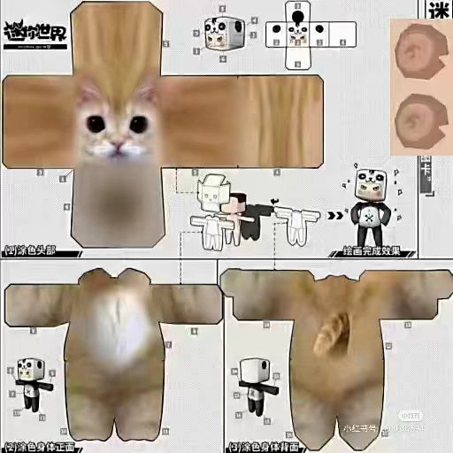 动态图片 7