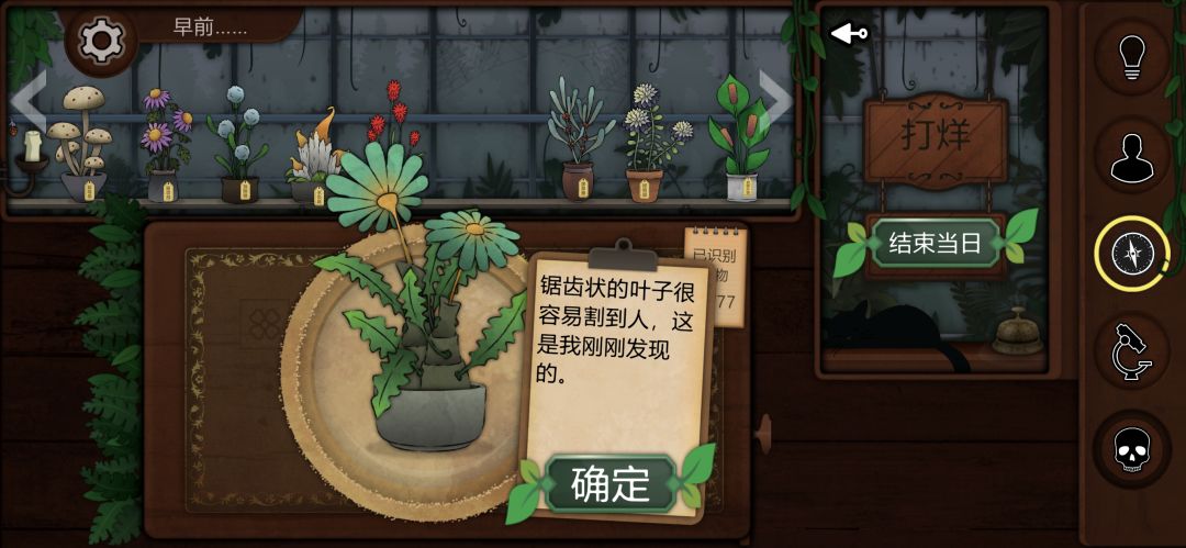 记录一些个人比较喜欢或觉得有意思的植物 11