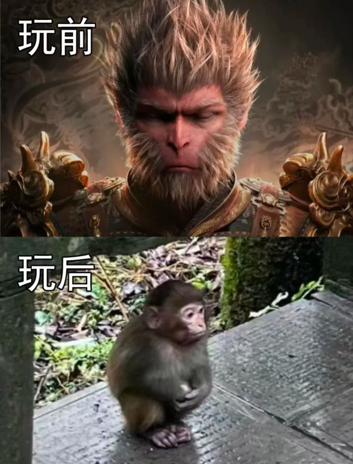 要不这个游戏叫《黑神话·广智》吧截图
