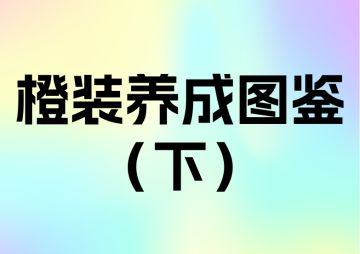 橙装养成图鉴(下)