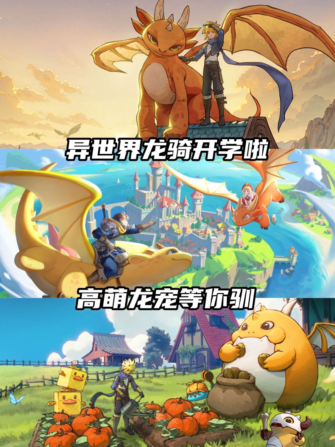 《龙骑士学园》公测倒计时1天！截图