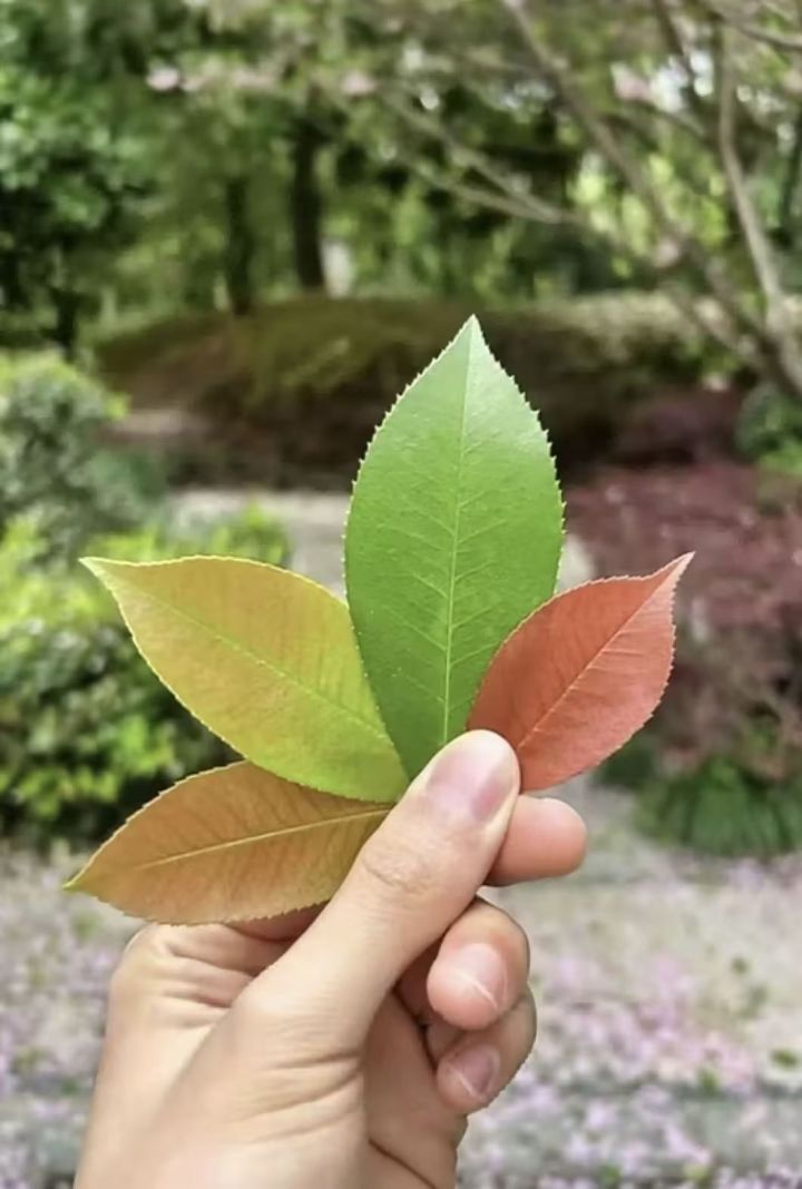 休息一下,马上就来。截图