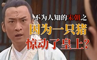 《少年包青天》什么？猪不见了还能找皇上解决？