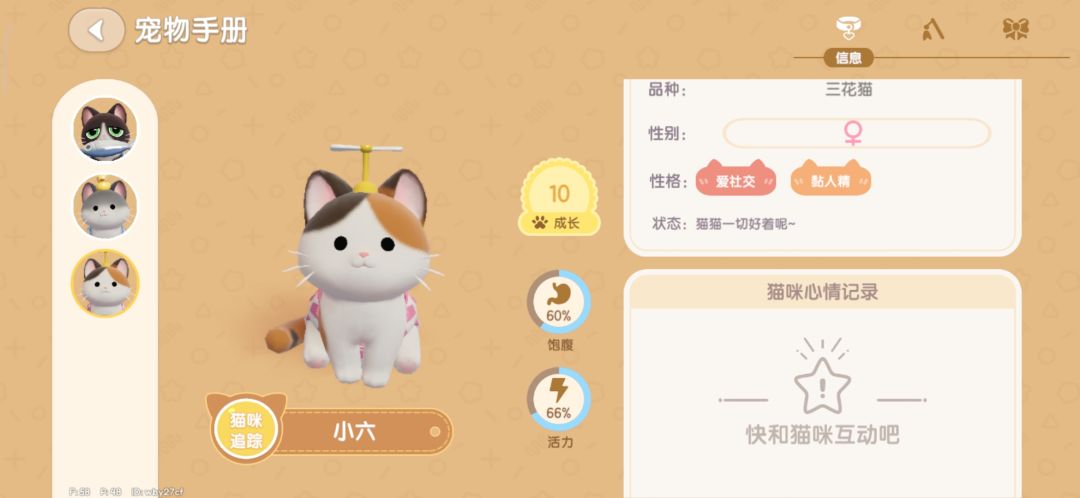 今天刷到的可爱咪咪(づ ̄ ³ ̄)づ🐱 1