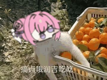 周年-黄粱一梦（破防）