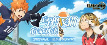 【剧情新章】「乌鸦VS猫 宿命对决」即将开启