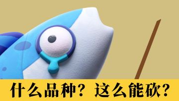 这年头上哪还能用六块钱买两条鱼！