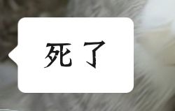 双女娲 3