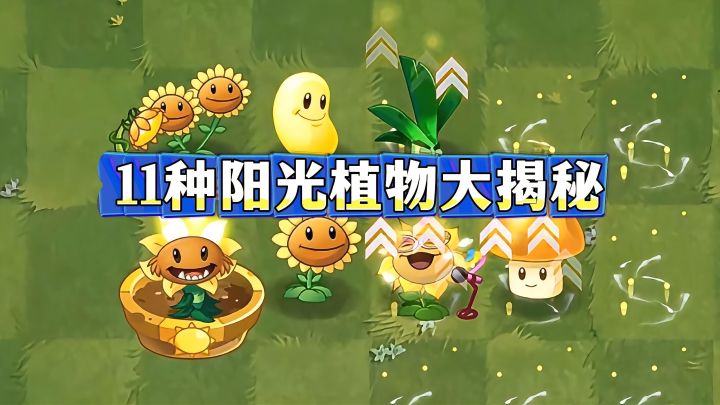 11种阳光植物！产量差多少？谁登场率最高？截图