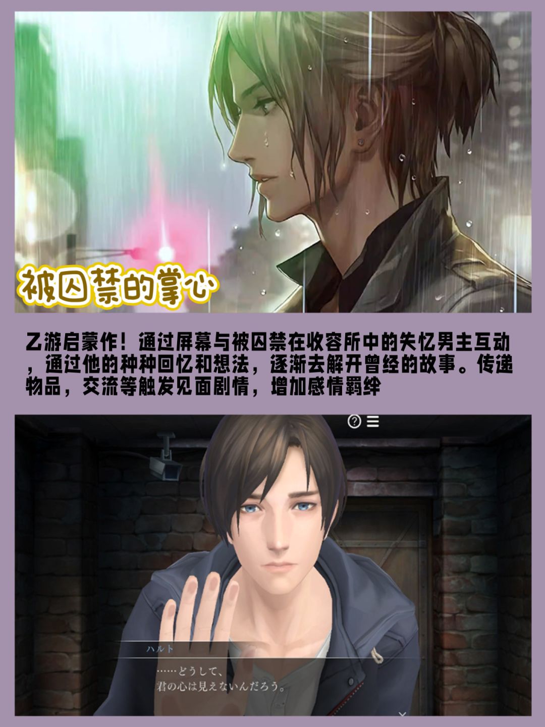 Switch游戏合集‼️8款经典汉化乙女推荐 2