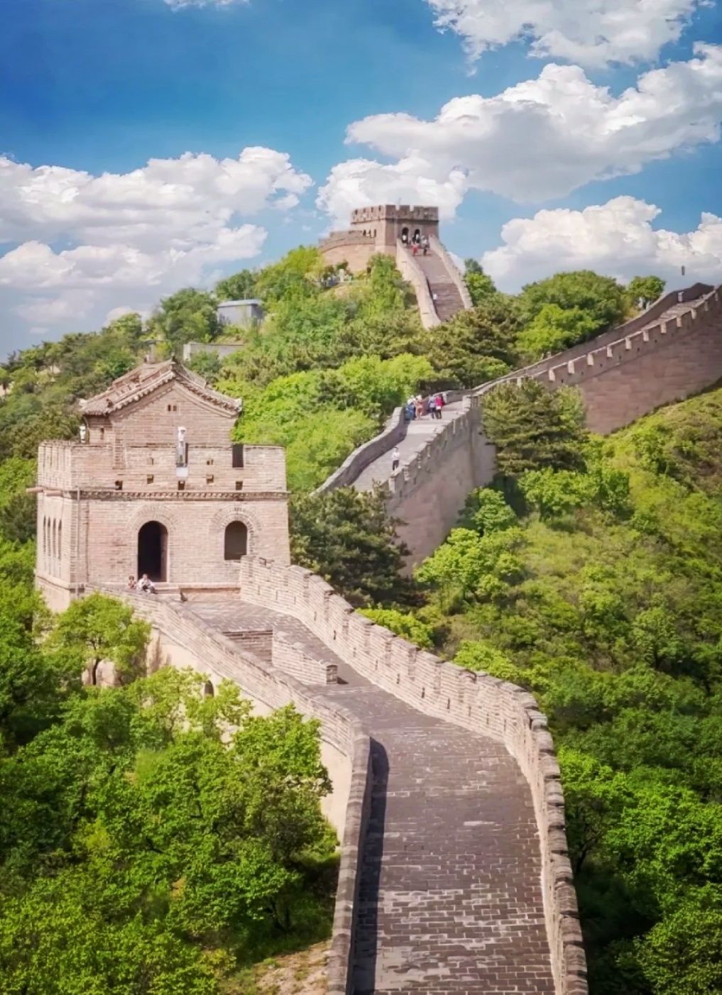 动态图片 1