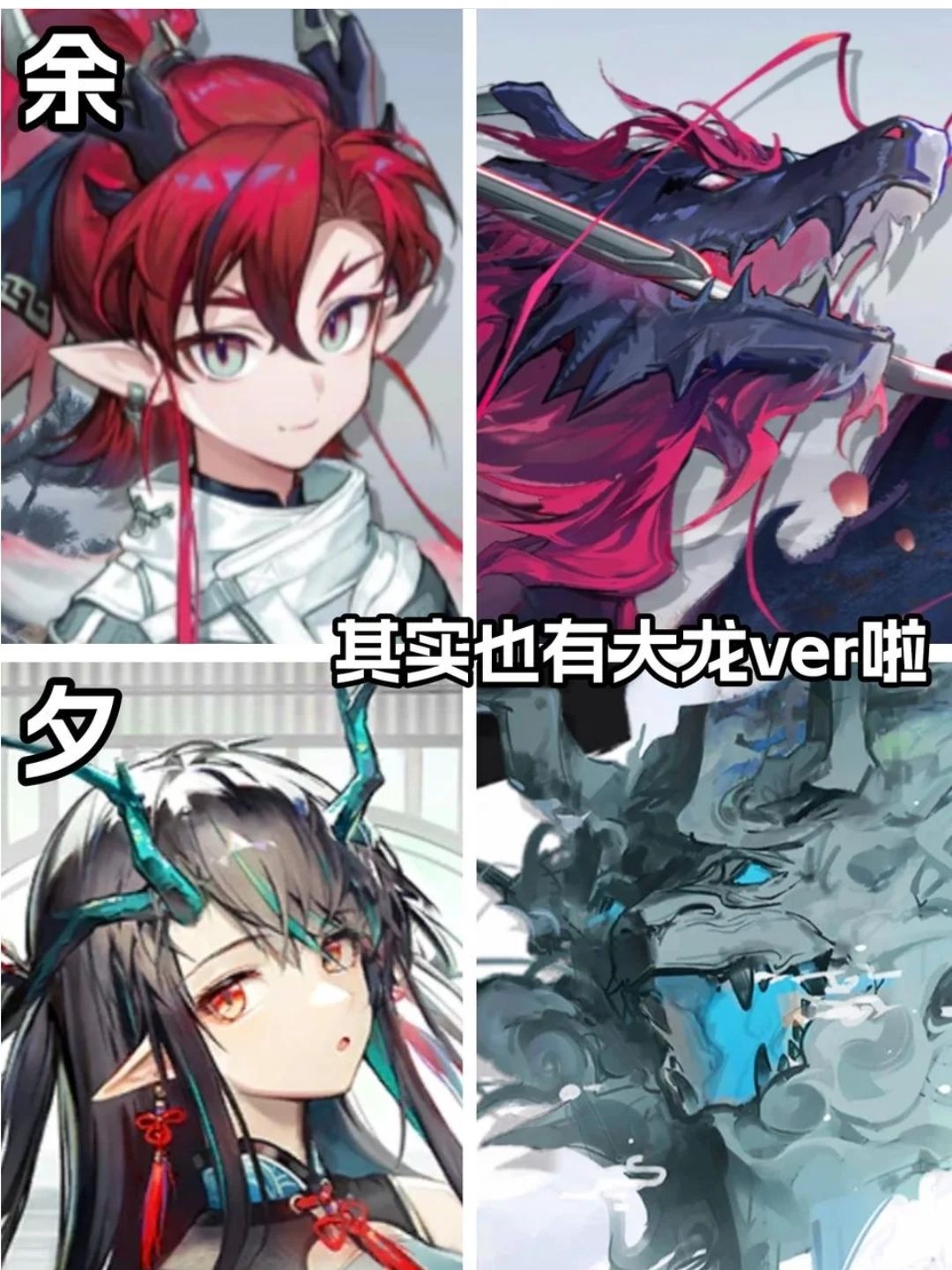 岁家龙形态对比 2