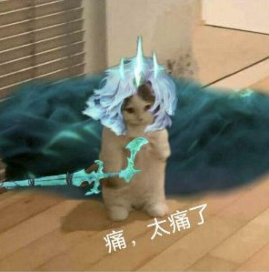 动态图片 3