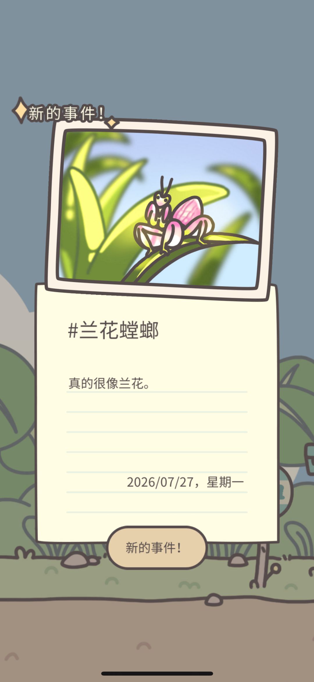 兰花螳螂 1