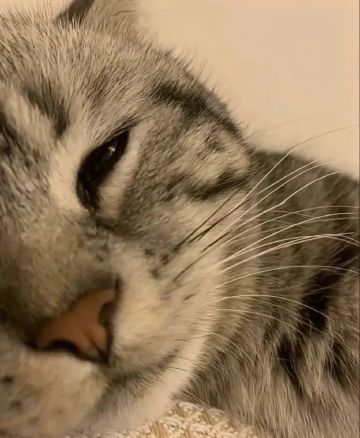 最近发现一个奇怪的现象