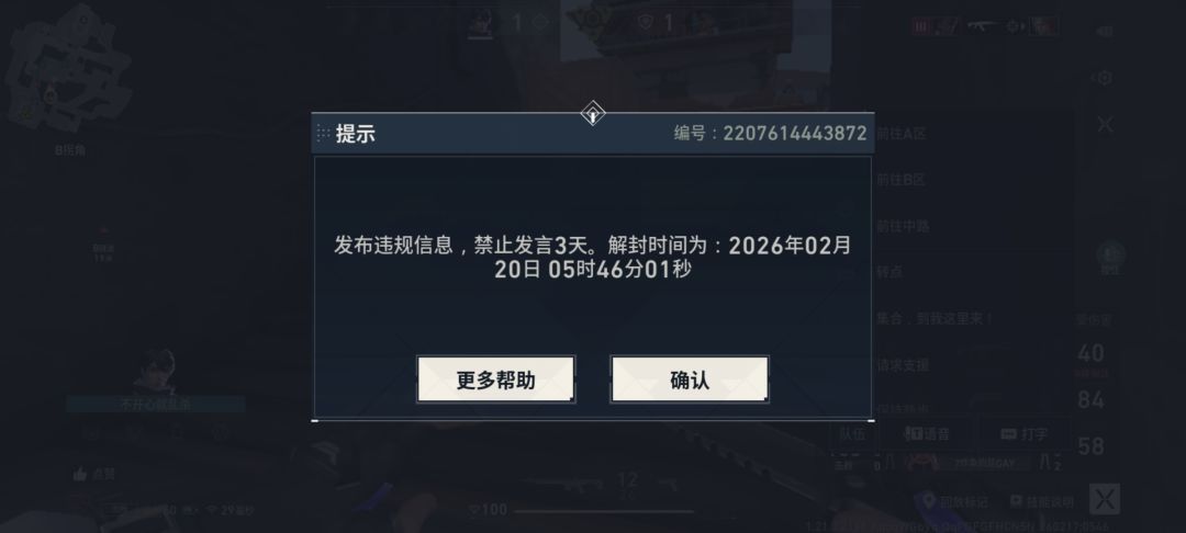 我发现了瓦手检测系统的恶性bug 3