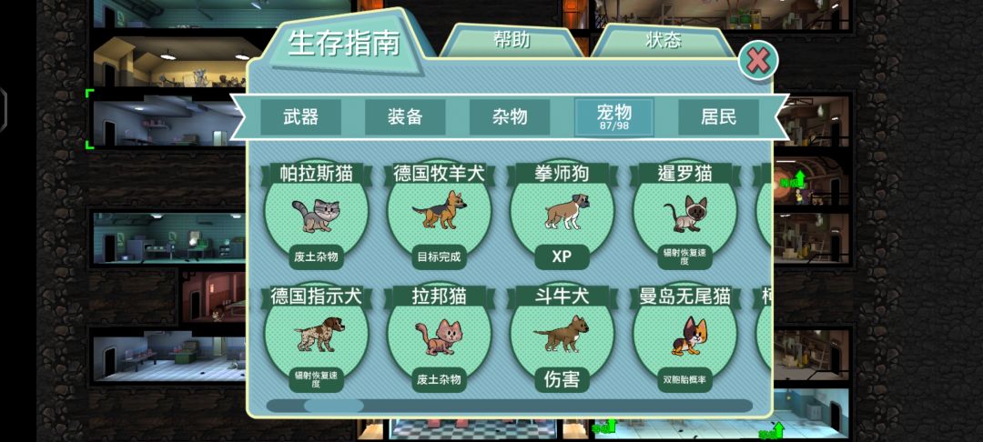 宠物普通款集齐 3