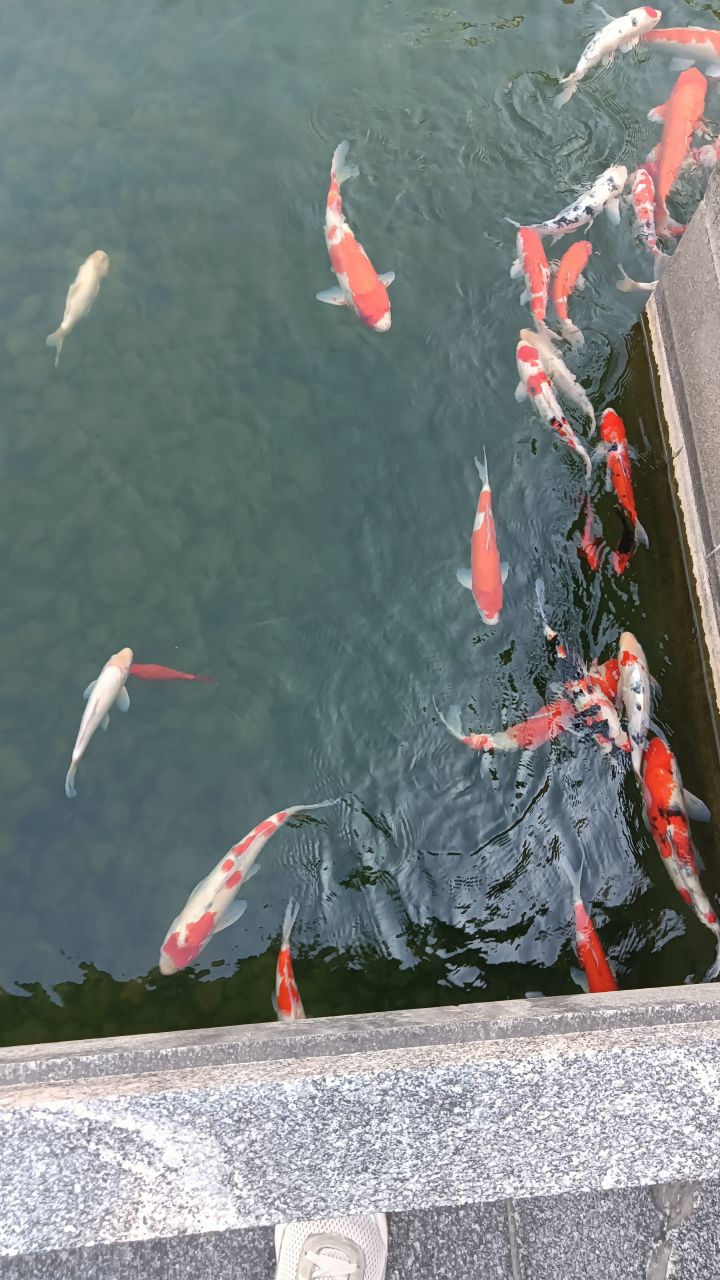 超数据分享活动截图