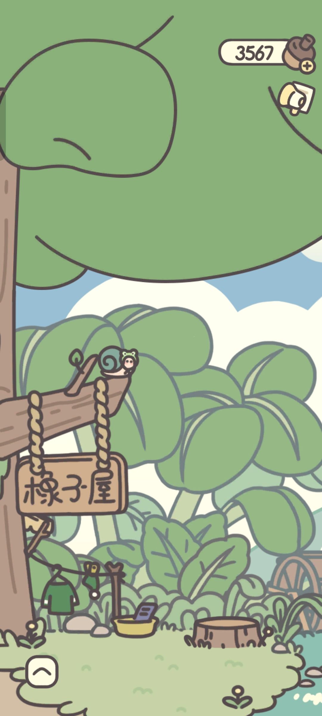 浣熊已经两天不来卖东西了 2