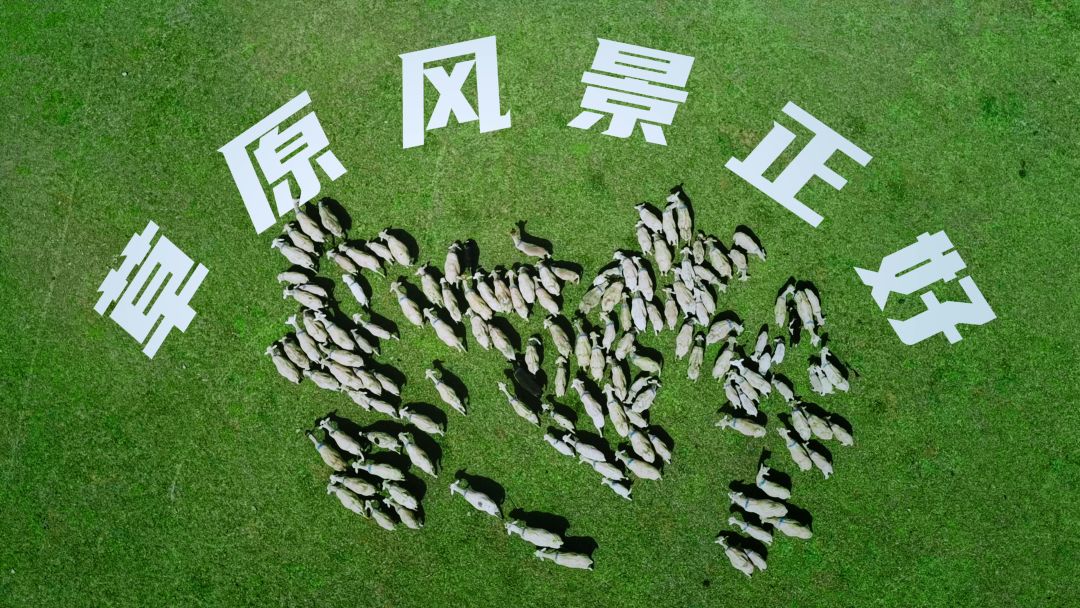 QQㄋㄟㄋㄟ好玩到咩噗——