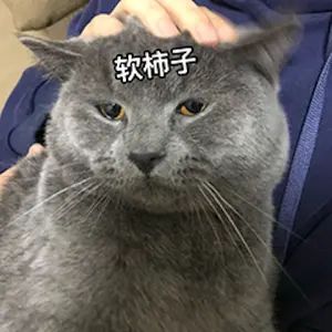 解答贴截图