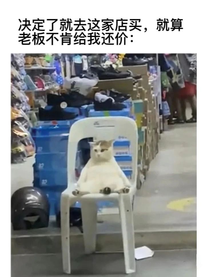 哈神金,害我莫名其妙笑了好几下,点进来笑 1