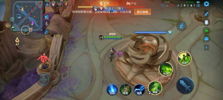 你们王者真的有大病。截图