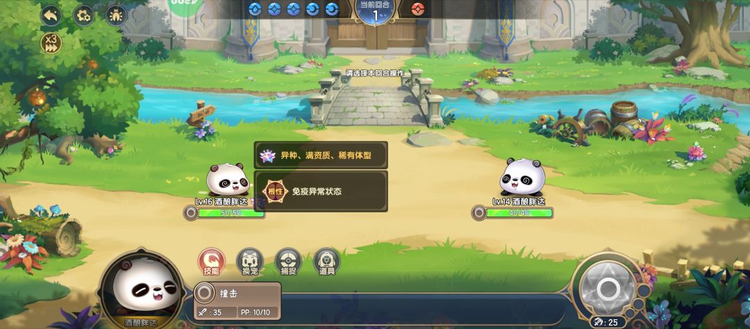 熊猫有反作用，低体重反而是好事 2