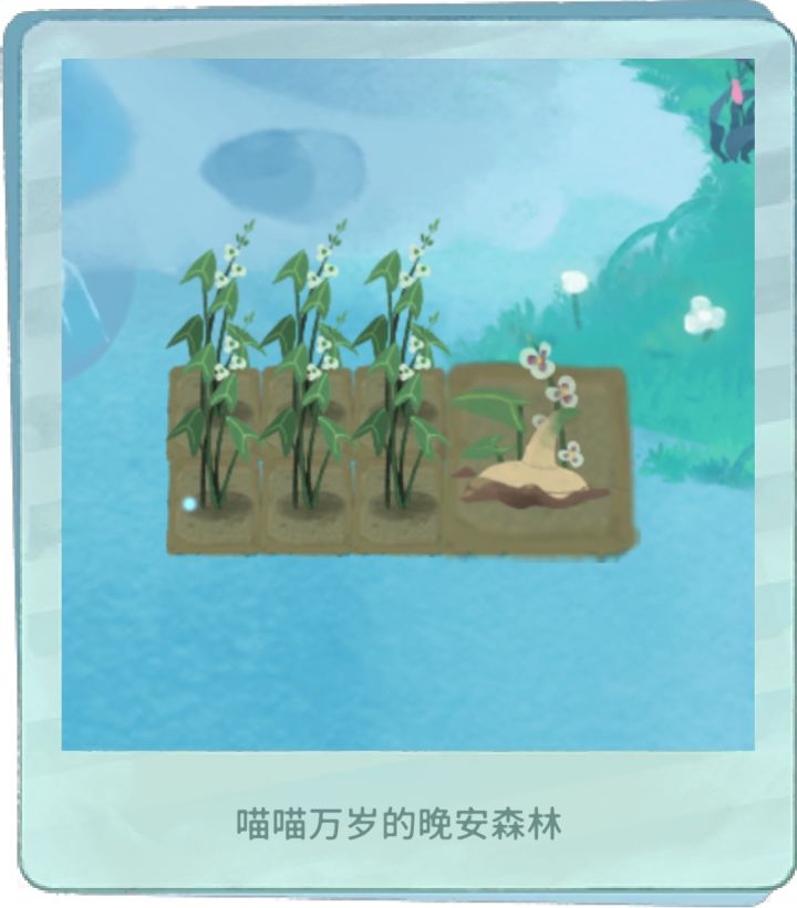 巨大白地栗!截图