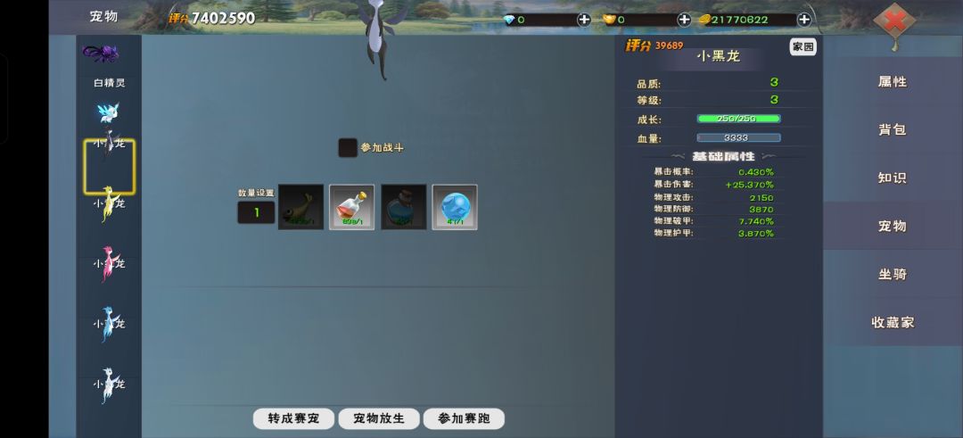 彩龙 1