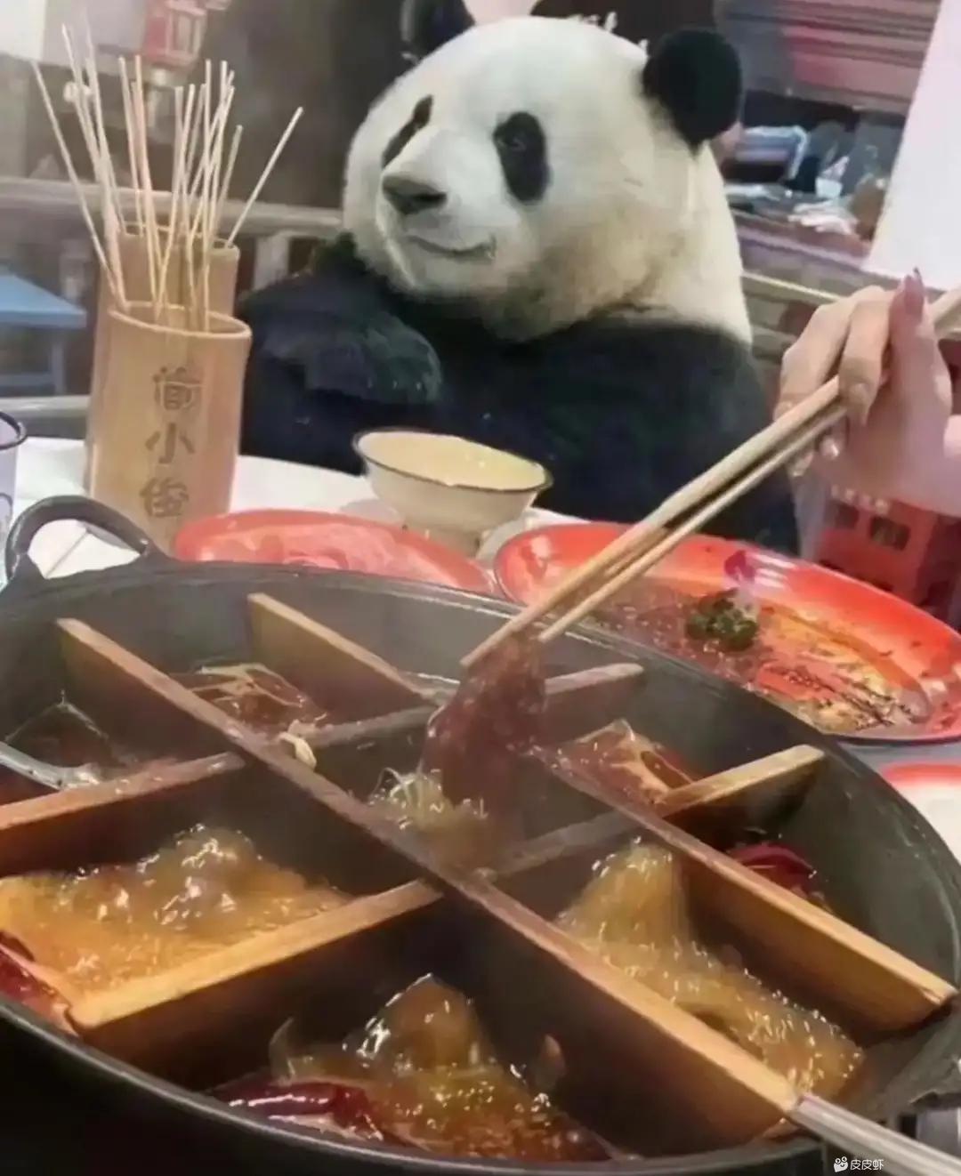 你们解散了么? 1