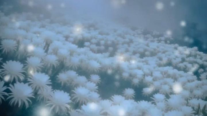 神探第十四章剧情文本(昙花一现.下)截图