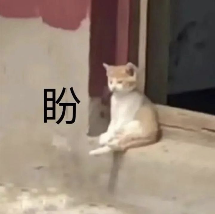 盼星星盼月亮等了7个月截图