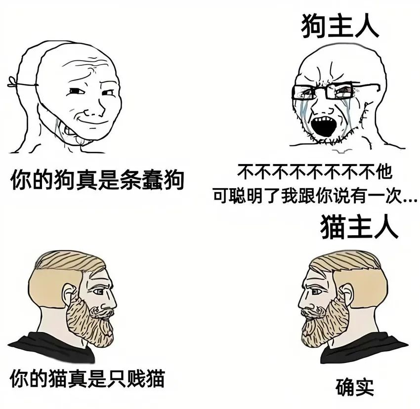 今日份梗图分享 2