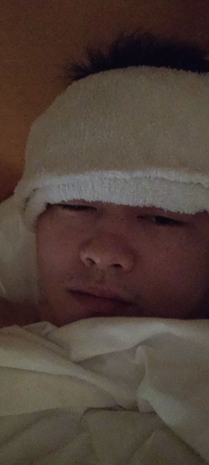 动态图片 3