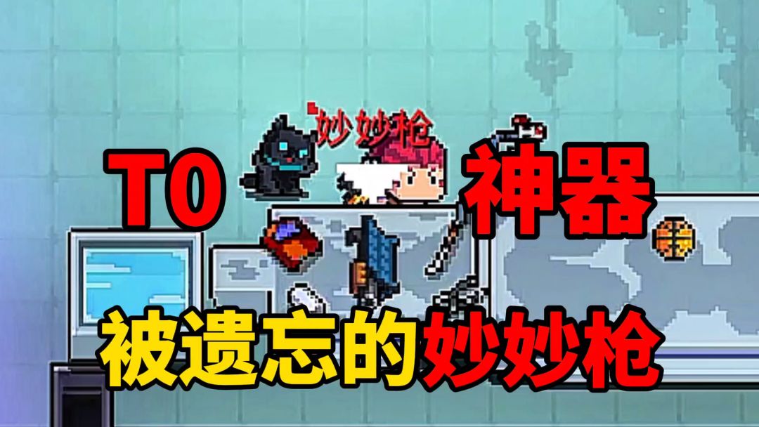 video-5406626