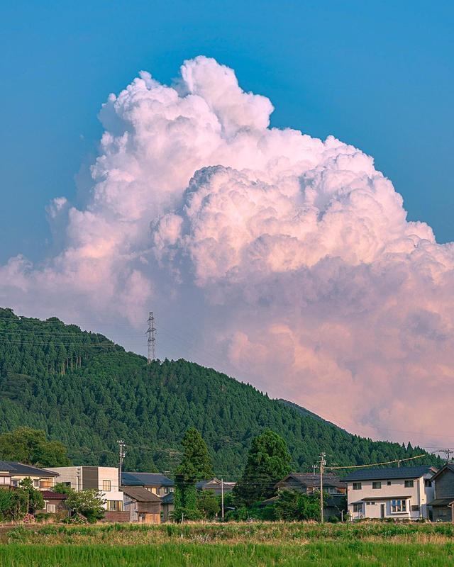 四月好春光活动第四天截图